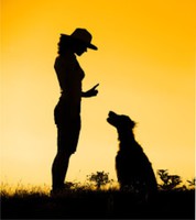 kép: pinterest